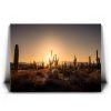 Saguaro Sunrise - Tucson, Arizona Canvas - Image 2