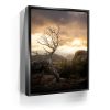 Sunset at Mt Lemmon, Arizona Canvas - Image 3