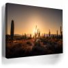 Saguaro Sunrise - Tucson, Arizona Canvas - Image 4