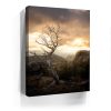 Sunset at Mt Lemmon, Arizona Canvas - Image 4