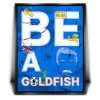 Be A Goldfish - Sketch Canvas