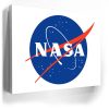 Nasa Logo Canvas - Image 4